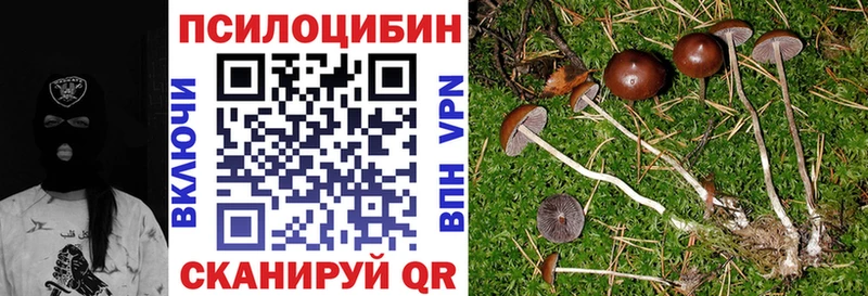 Псилоцибиновые грибы мухоморы  мега ССЫЛКА  Заволжье 