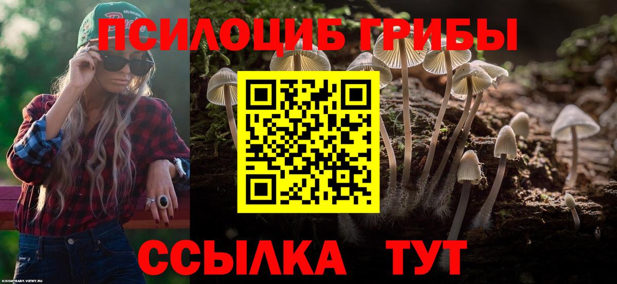 Галлюциногенные грибы Magic Shrooms  Галлюциногенные грибы Cubensis  Вход с VPN  Заволжье 