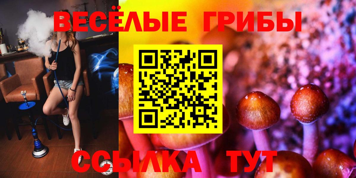 Галлюциногенные грибы MAGIC MUSHROOMS Заволжье